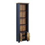 Splash of Blue - Narrow Bookcase